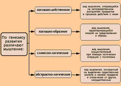 Схема классификации видов мышления по генезису развития